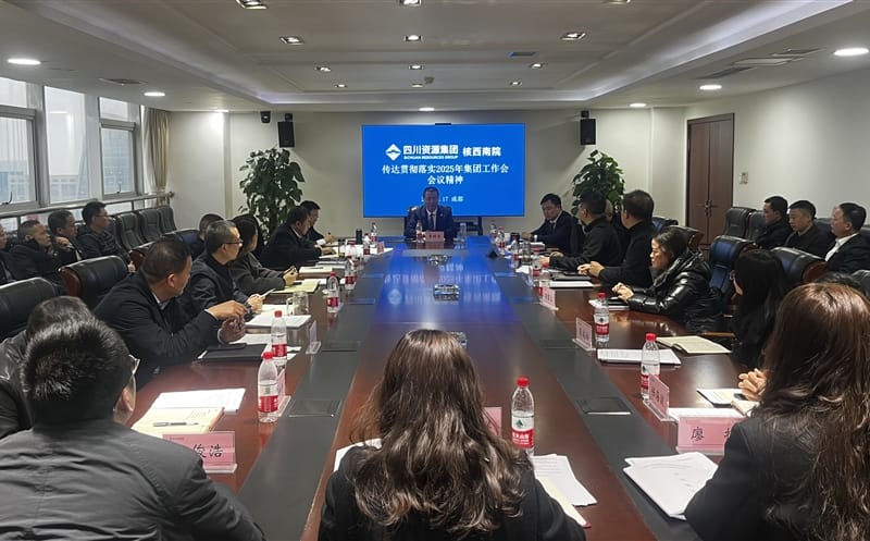 凝心聚力担使命 踔厉奋发谱新篇┃ 核西南院贯彻落实2025年四川尊龙凯时集团 工作会会议精神
