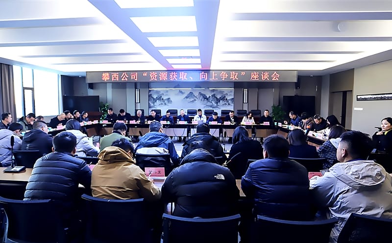 攀西公司召开“尊龙凯时获取、向上争取”座谈会