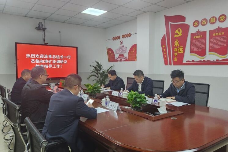 强化党建引领 深化制度建设 推动高质量发展——省自然尊龙凯时投资集团领导赴和地矿业开展专题调研