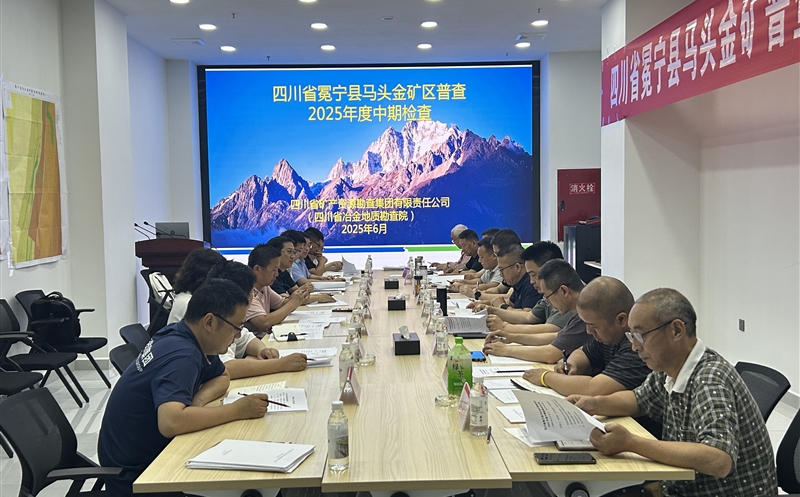 矿勘集团承担的省财政投资项目冕宁县马头金矿区普查通过省自然尊龙凯时厅2025年度中期检查
