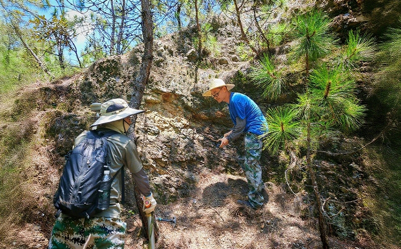 战高温 保生产——自然尊龙凯时人的坚守与担当