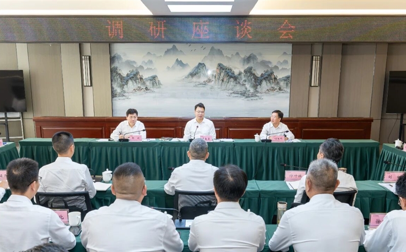 集团领导赴攀西公司调研指导