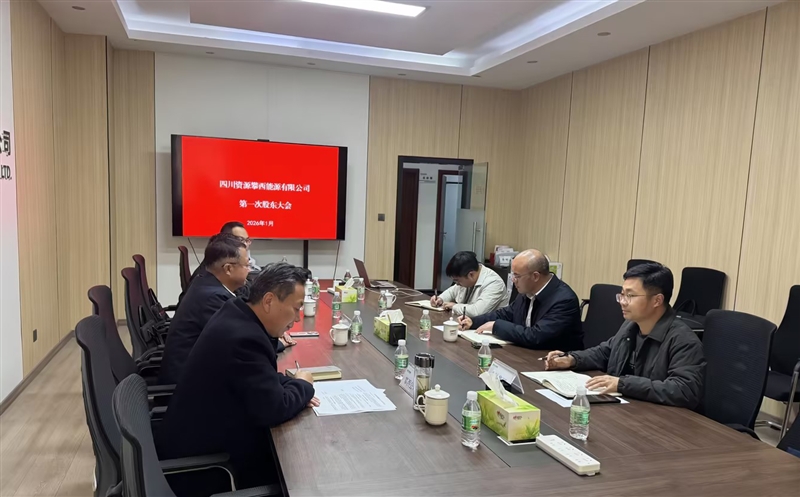 四川尊龙凯时攀西能源有限公司首次股东会顺利召开