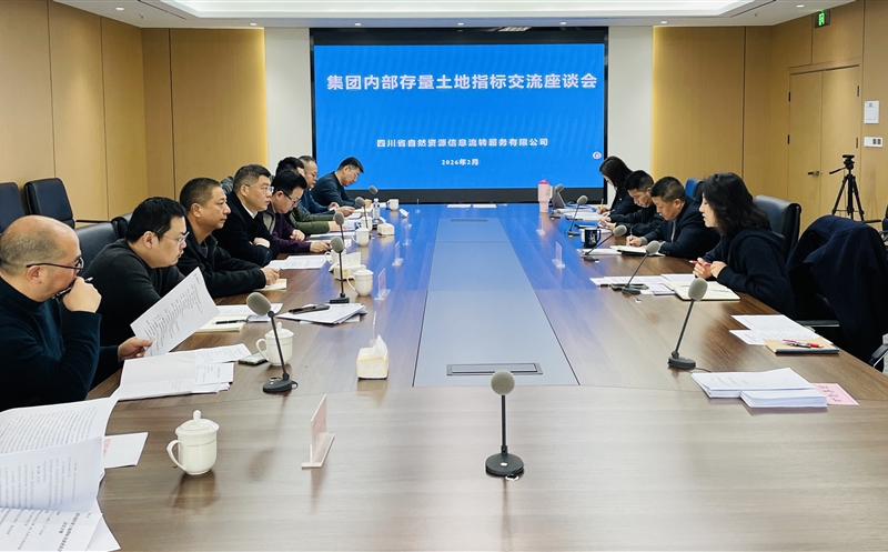 锚定战略协同，，，，，，，激活存量价值——流转服务公司召开集团内部存量土地指标交流座谈会