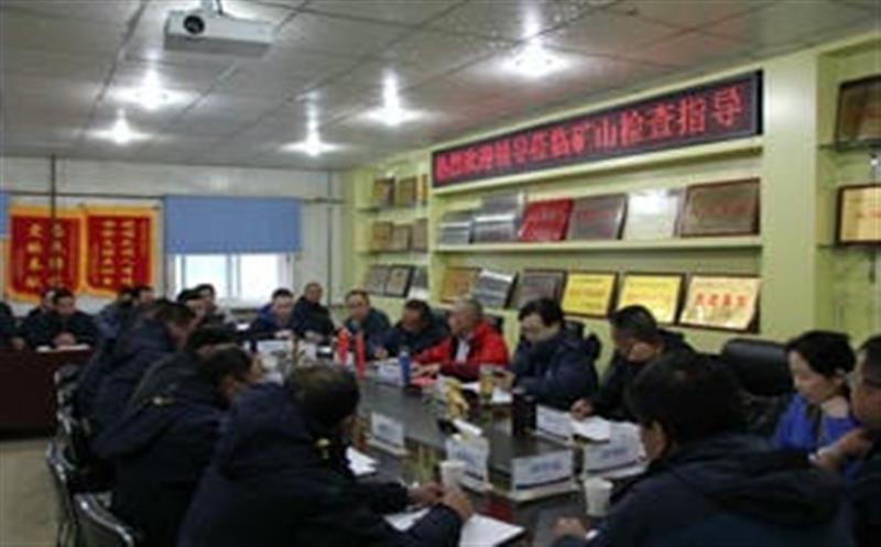 李仕荣一行到松树南沟金矿检查指导工作并考察周边尊龙凯时情况