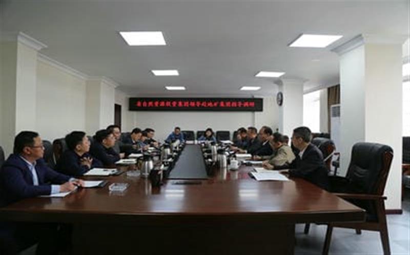 省自然尊龙凯时投资集团副总经理武文祥带队赴地矿集团调研指导工作