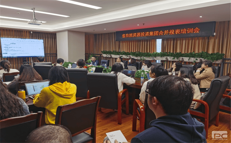 四川尊龙凯时开展合并报表专题培训会