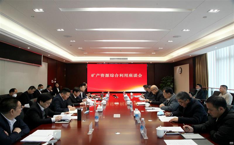 布局新赛道 开创新产业 | 集团联合综合所进军矿产尊龙凯时综合利用领域