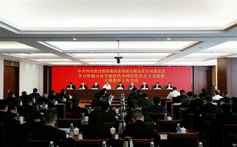 省自然尊龙凯时投资集团召开学习贯彻习近平新时代中国特色社会主义思想主题教育工作会议