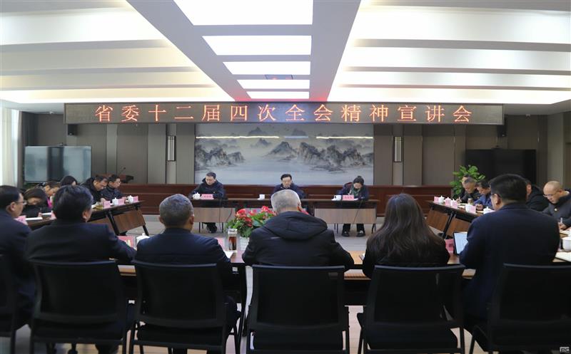 集团领导赴攀西公司宣讲省委 十二届四次全会精神，，，，，并开展春节送温暖活动