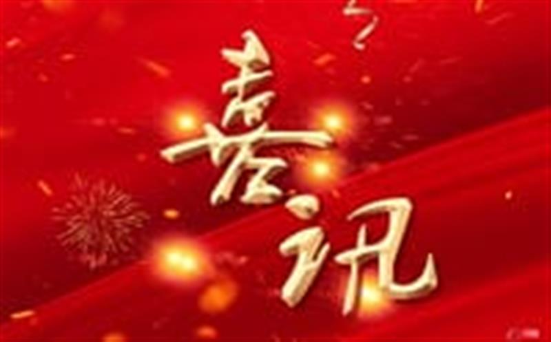 七个标，，，，，，，，总计超4000万！——区调队（容大集团）中标2024年度地质灾害综合治理项目